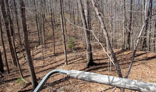 Photo #17 of SOLD property in Off Blackberry Rd, Bassett, VA 115.4 acres