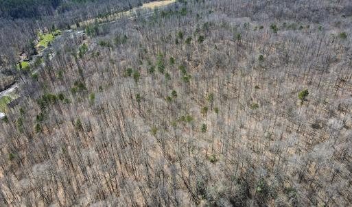 Photo #19 of SOLD property in Off Blackberry Rd, Bassett, VA 115.4 acres