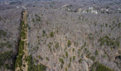 Photo #2 of SOLD property in Off Blackberry Rd, Bassett, VA 115.4 acres