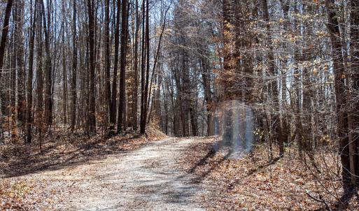 Photo #20 of SOLD property in Off Blackberry Rd, Bassett, VA 115.4 acres
