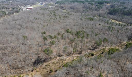 Photo #4 of SOLD property in Off Blackberry Rd, Bassett, VA 115.4 acres