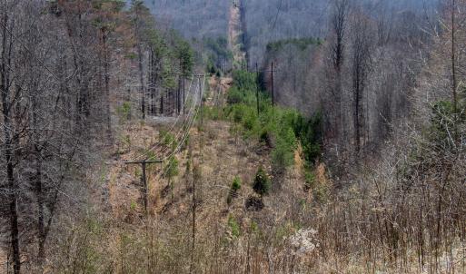 Photo #5 of SOLD property in Off Blackberry Rd, Bassett, VA 115.4 acres