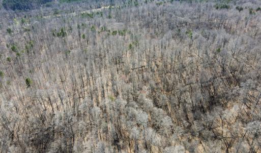 Photo #6 of SOLD property in Off Blackberry Rd, Bassett, VA 115.4 acres