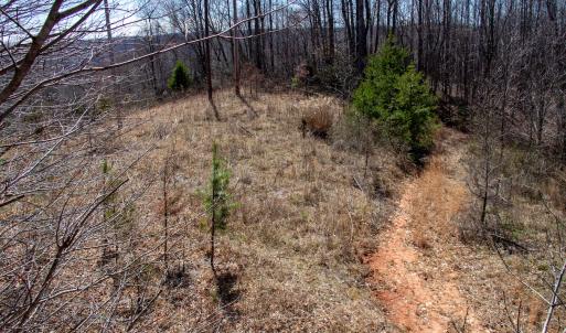 Photo #8 of SOLD property in Off Blackberry Rd, Bassett, VA 115.4 acres
