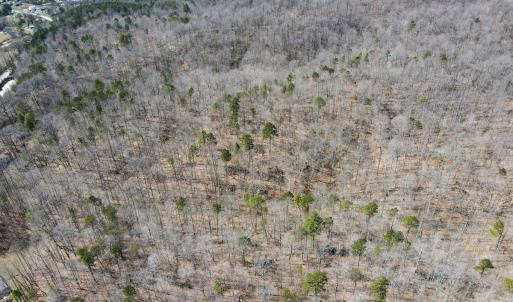 Photo #9 of SOLD property in Off Blackberry Rd, Bassett, VA 115.4 acres