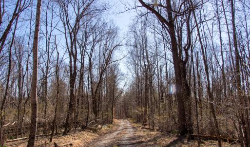 Photo #21 of SOLD property in Off Blackberry Rd, Bassett, VA 115.4 acres