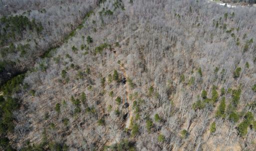 Photo #23 of SOLD property in Off Blackberry Rd, Bassett, VA 115.4 acres