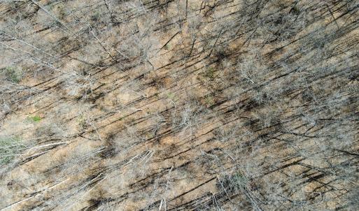Photo #24 of SOLD property in Off Blackberry Rd, Bassett, VA 115.4 acres
