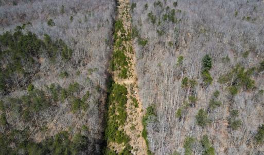 Photo #26 of SOLD property in Off Blackberry Rd, Bassett, VA 115.4 acres