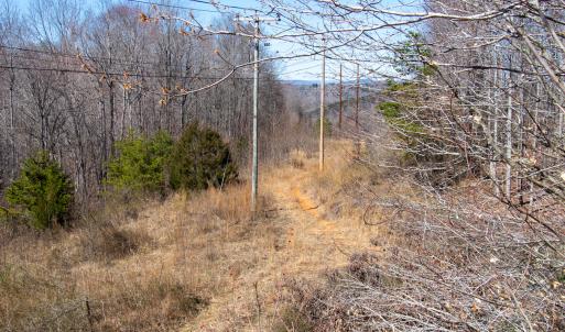 Photo #28 of SOLD property in Off Blackberry Rd, Bassett, VA 115.4 acres