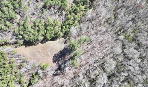 Photo #18 of SOLD property in Off Roxobel Road, Rich Square, NC 13.6 acres