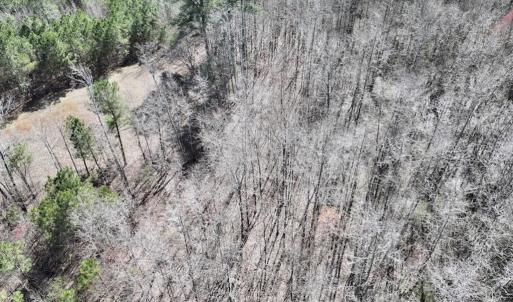 Photo #20 of SOLD property in Off Roxobel Road, Rich Square, NC 13.6 acres