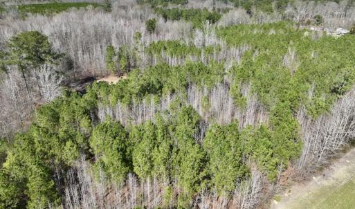 Photo #22 of SOLD property in Off Roxobel Road, Rich Square, NC 13.6 acres