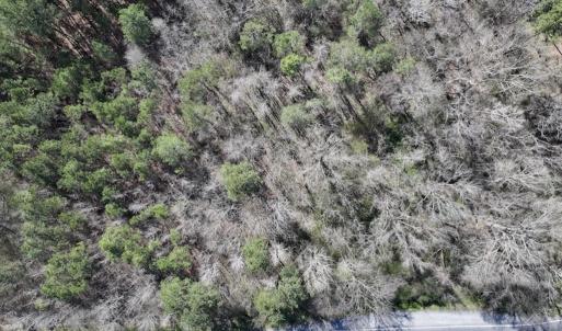 Photo #28 of SOLD property in Off Roxobel Road, Rich Square, NC 13.6 acres