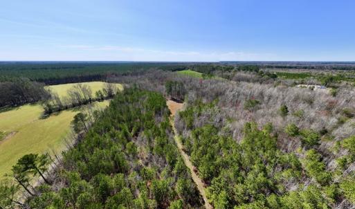 Photo #30 of SOLD property in Off Roxobel Road, Rich Square, NC 13.6 acres