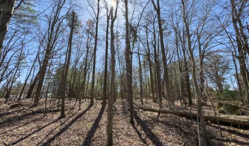 Photo #41 of SOLD property in 121 Old Durham Road , Roxboro, NC 3.6 acres