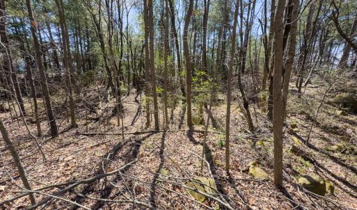 Photo #59 of SOLD property in 121 Old Durham Road , Roxboro, NC 3.6 acres