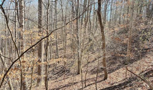 Photo #18 of 1620 Tower Road, Christiansburg, VA 1.0 acres