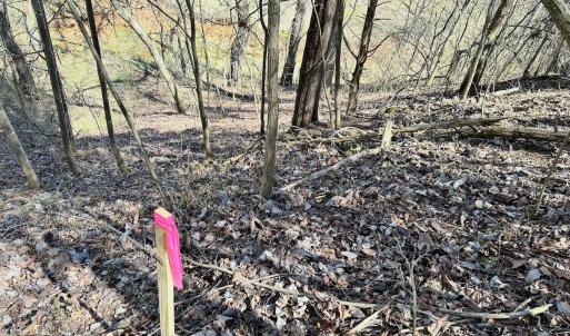 Photo #20 of 1620 Tower Road, Christiansburg, VA 1.0 acres