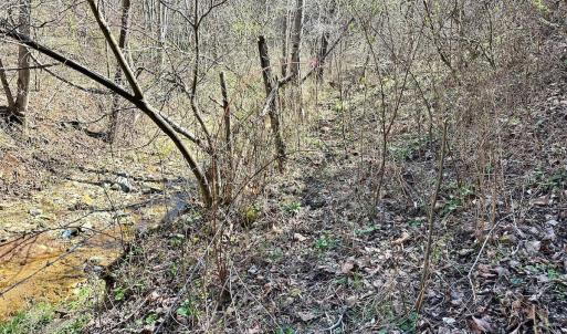 Photo #23 of 1620 Tower Road, Christiansburg, VA 1.0 acres