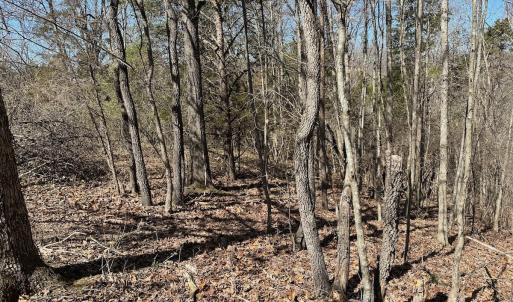 Photo #10 of 1620 Tower Road, Christiansburg, VA 1.0 acres