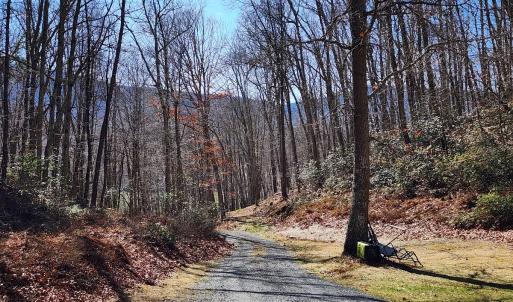 Photo #5 of SOLD property in 1308 Spruce St, Monterey, VA 30.3 acres