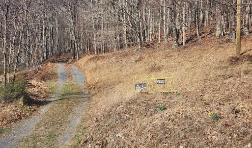 Photo #6 of SOLD property in 1308 Spruce St, Monterey, VA 30.3 acres