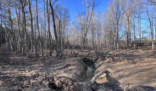 Photo #11 of SOLD property in 1296 Moriah Rd, Rougemont, NC 71.8 acres