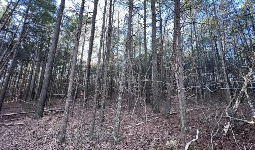 Photo #12 of SOLD property in 1296 Moriah Rd, Rougemont, NC 71.8 acres