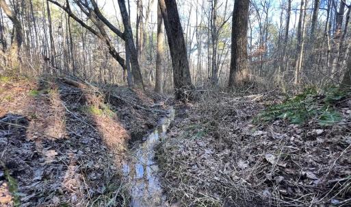 Photo #13 of SOLD property in 1296 Moriah Rd, Rougemont, NC 71.8 acres