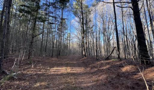 Photo #14 of SOLD property in 1296 Moriah Rd, Rougemont, NC 71.8 acres