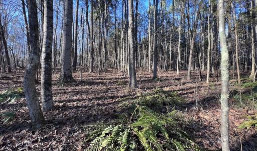 Photo #15 of SOLD property in 1296 Moriah Rd, Rougemont, NC 71.8 acres