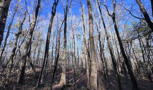 Photo #16 of SOLD property in 1296 Moriah Rd, Rougemont, NC 71.8 acres