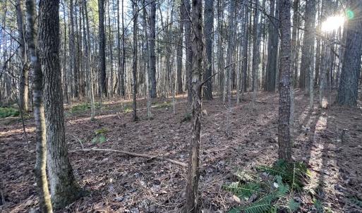 Photo #17 of 1296 Moriah Rd, Rougemont, NC 71.8 acres
