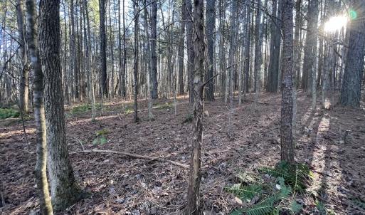 Photo #17 of SOLD property in 1296 Moriah Rd, Rougemont, NC 71.8 acres