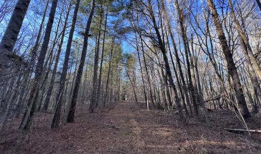Photo #19 of SOLD property in 1296 Moriah Rd, Rougemont, NC 71.8 acres