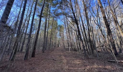 Photo #19 of 1296 Moriah Rd, Rougemont, NC 71.8 acres