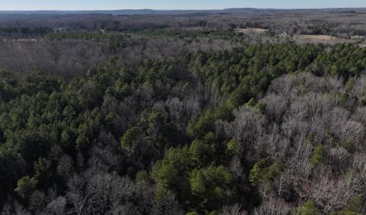 Photo #3 of SOLD property in 1296 Moriah Rd, Rougemont, NC 71.8 acres