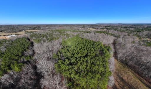 Photo #6 of SOLD property in 1296 Moriah Rd, Rougemont, NC 71.8 acres