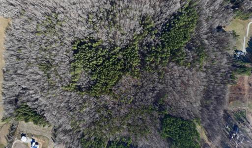 Photo #7 of SOLD property in 1296 Moriah Rd, Rougemont, NC 71.8 acres