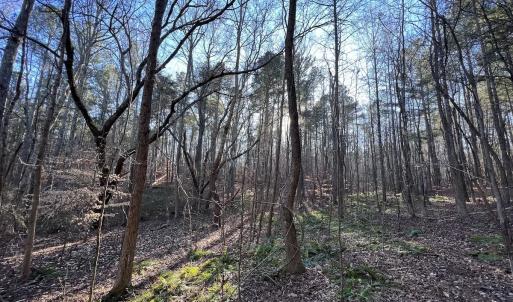 Photo #9 of SOLD property in 1296 Moriah Rd, Rougemont, NC 71.8 acres