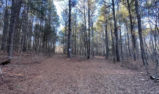 Photo #24 of 1296 Moriah Rd, Rougemont, NC 71.8 acres