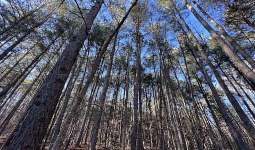 Photo #28 of SOLD property in 1296 Moriah Rd, Rougemont, NC 71.8 acres
