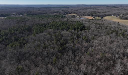 Photo #29 of 1296 Moriah Rd, Rougemont, NC 71.8 acres