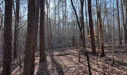 Photo #31 of SOLD property in 1296 Moriah Rd, Rougemont, NC 71.8 acres