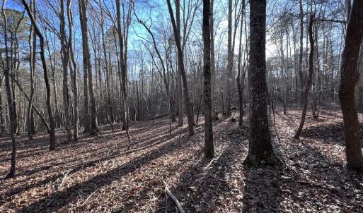 Photo #32 of SOLD property in 1296 Moriah Rd, Rougemont, NC 71.8 acres