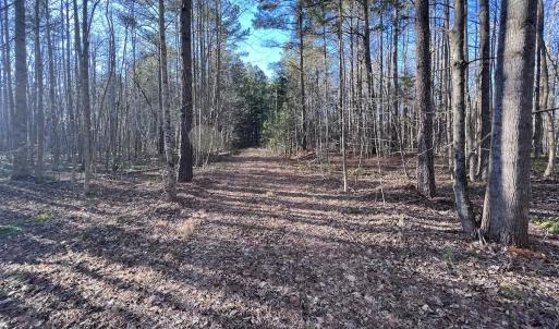 Photo #33 of SOLD property in 1296 Moriah Rd, Rougemont, NC 71.8 acres