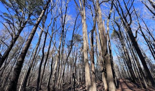 Photo #34 of SOLD property in 1296 Moriah Rd, Rougemont, NC 71.8 acres