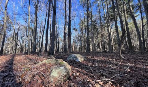 Photo #35 of 1296 Moriah Rd, Rougemont, NC 71.8 acres