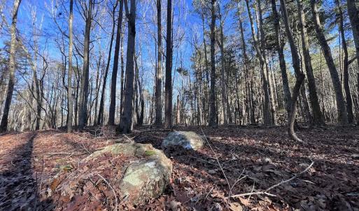 Photo #35 of SOLD property in 1296 Moriah Rd, Rougemont, NC 71.8 acres